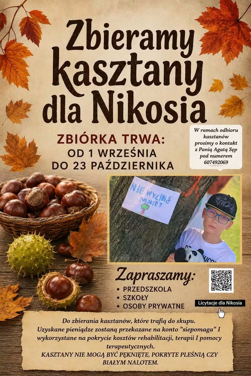 Zbieramy kasztany dla Nikosia 1000020018